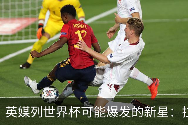 英媒列世界杯可能爆发的新星：拉扬、帕斯、迪奥曼德、武什科维奇